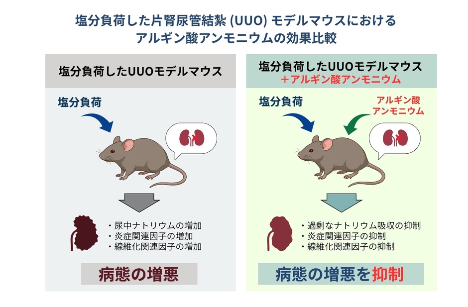 【お知らせ】熊本大学との共同研究論文が国際科学誌「Results in Chemistry」に掲載されました